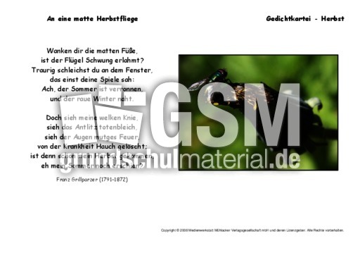 An-eine-matte-Herbstfliege-Grillparzer.pdf